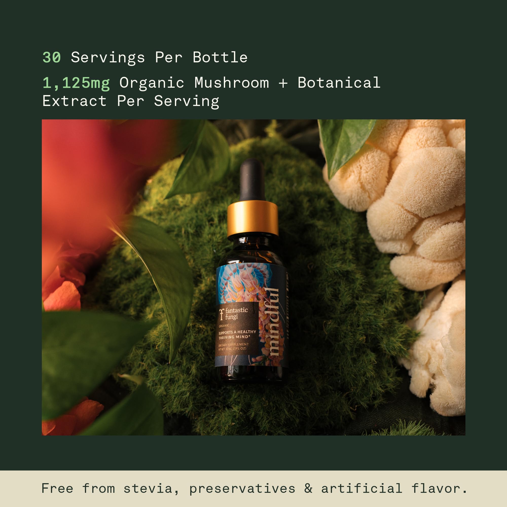 Fantastic Fungi USDA Organic Mushrooms label indicating pure whole-mushroom extract
