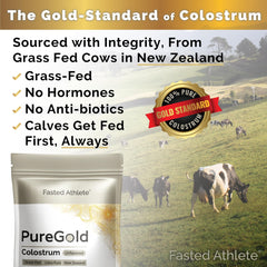 Fasted Athlete PureGold powder close-up highlighting rich bioactive nutrients.