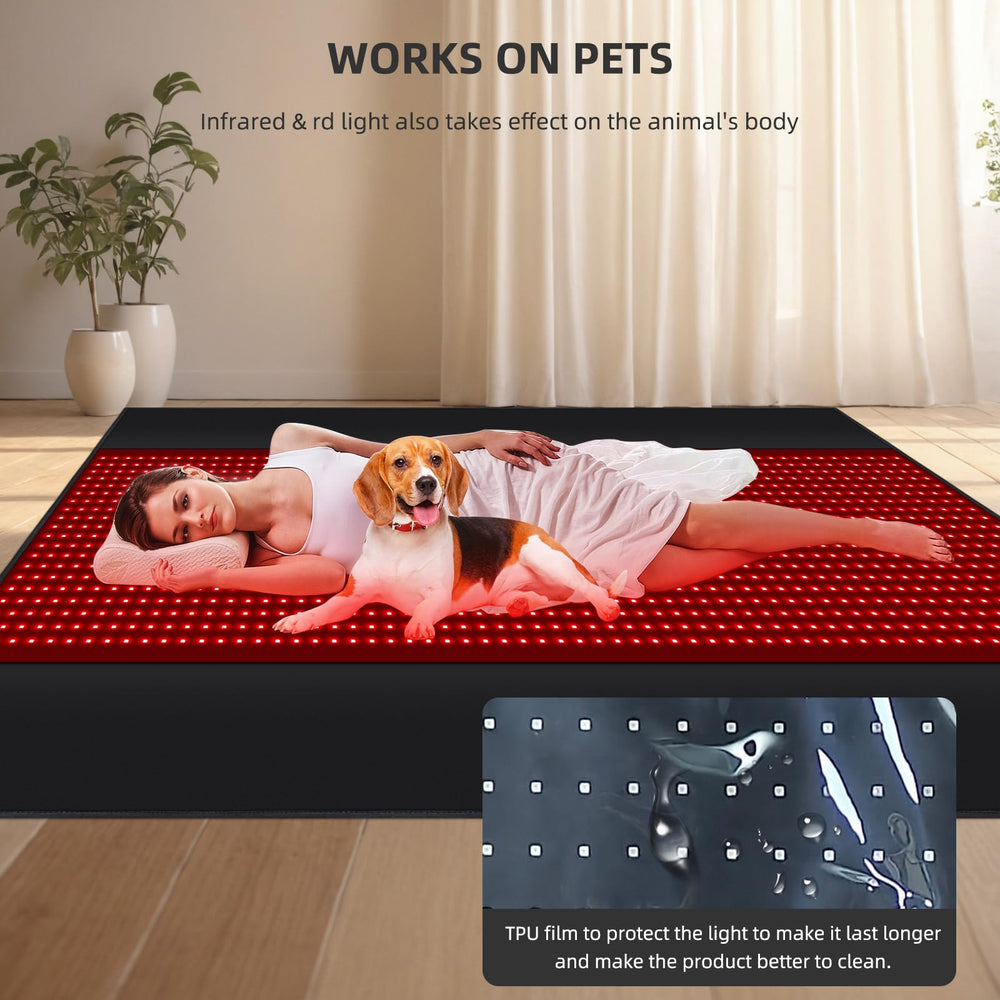 Feangli control panel and timer offer simple, safe at-home routines with auto-off.