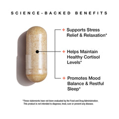 FeelGood Liposomal Ashwagandha capsules close-up for vegan daily use.