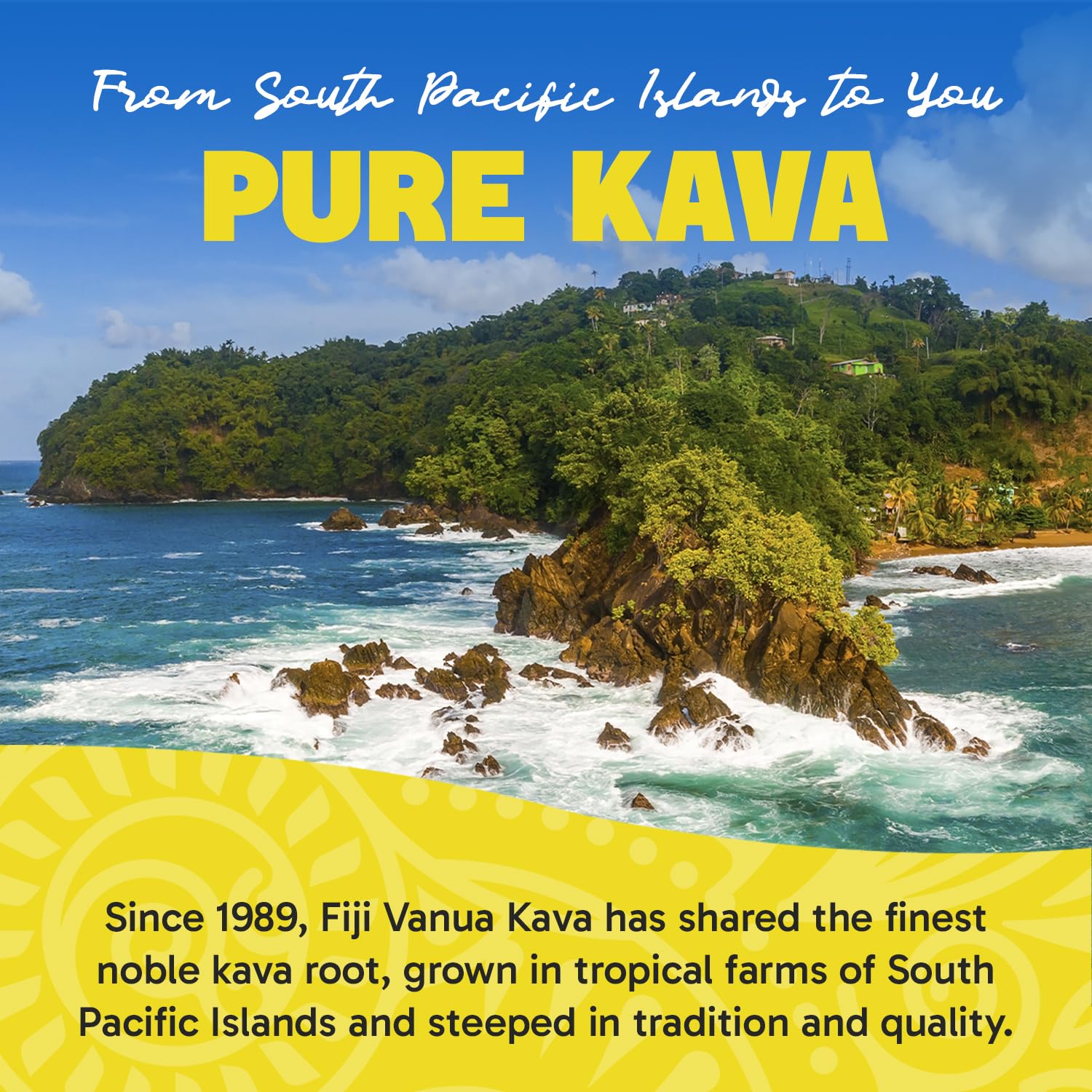 Close-up of Fiji Vanua Kava powder texture for authentic flavor