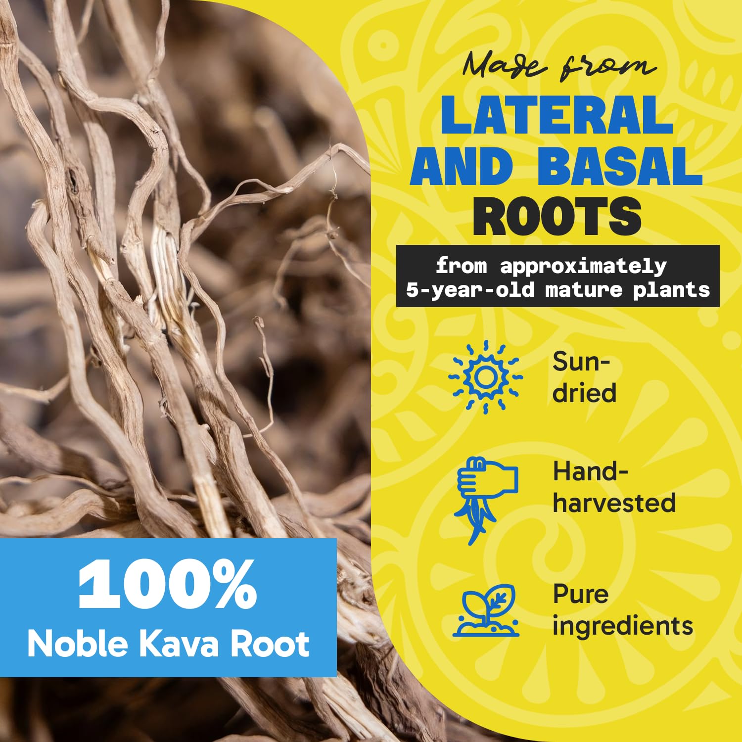 Fiji Vanua Kava Premium Santa Cruz packaging highlights a single-ingredient noble kava.