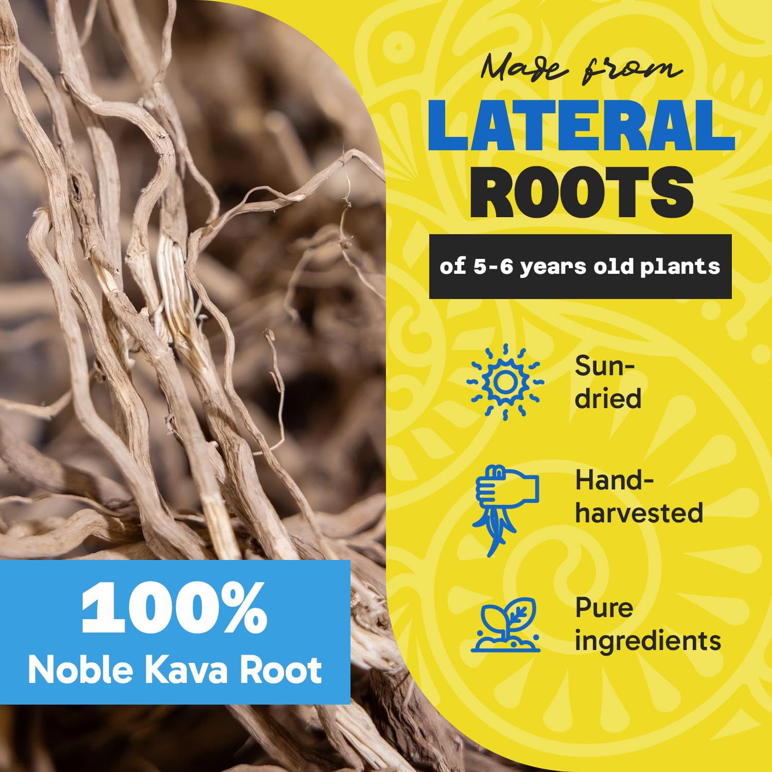 Fiji Vanua Kava Vanuatu Powder texture medium-grind ideal for traditional brewing.