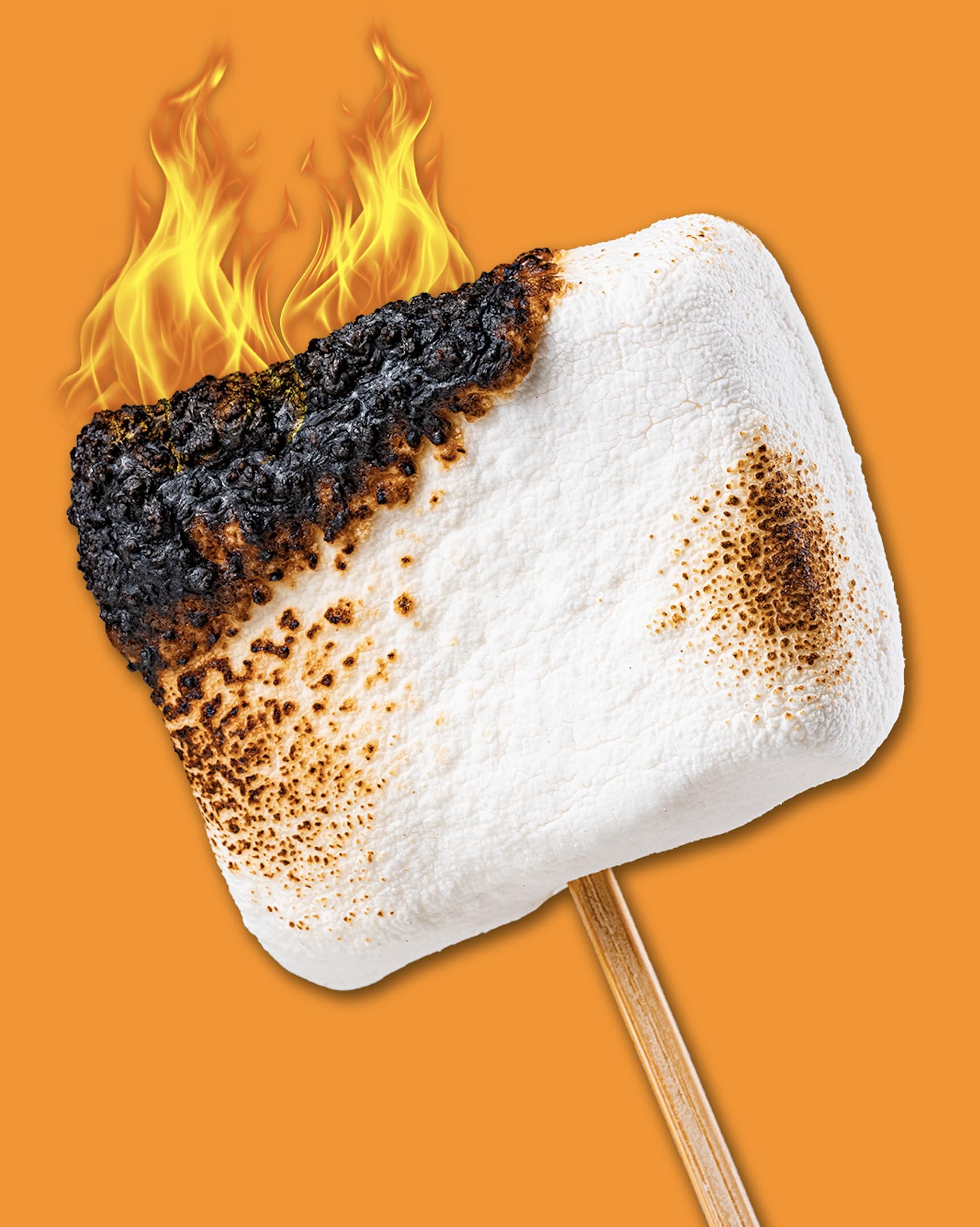 Final Boss Anabar chocolate-coated treat close-up emphasizes real honey sweetness.