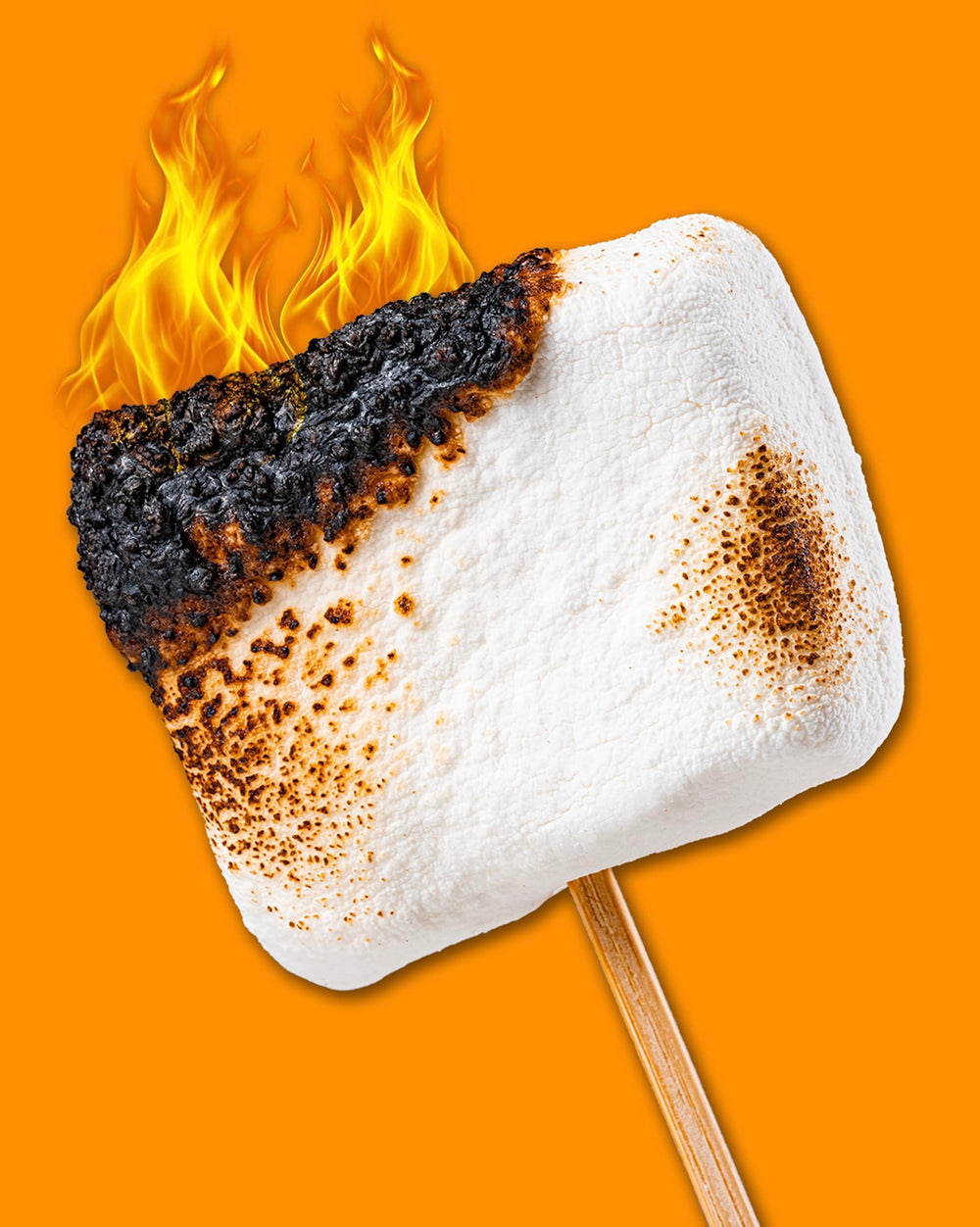 Final Boss Anabar chocolate-coated treat close-up emphasizes real honey sweetness.