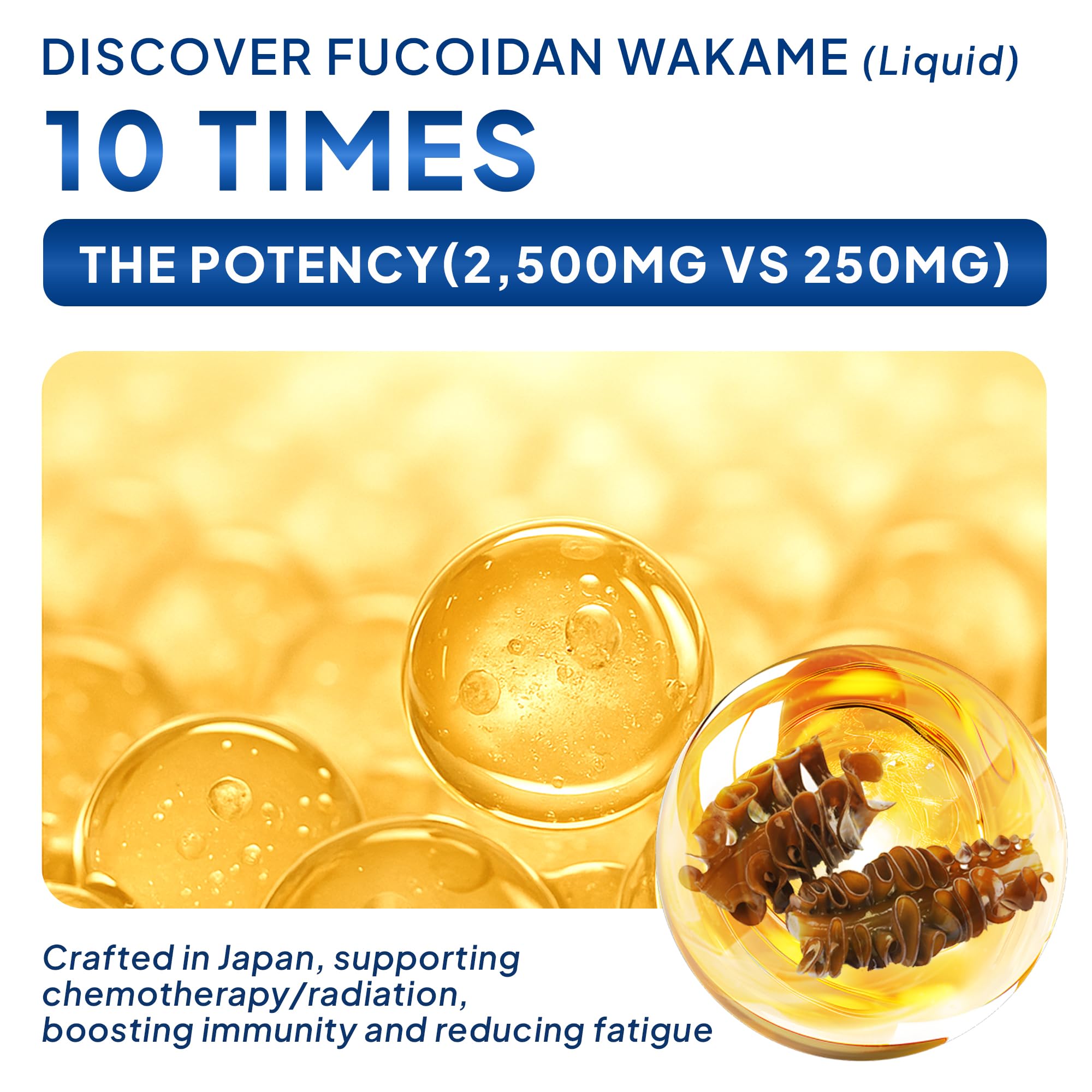 FINE JAPAN Fucoidan Plus Drink coix-seed bowl emphasizes Eastern wellness heritage ingredients