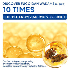 FINE JAPAN Fucoidan Plus Drink coix-seed bowl emphasizes Eastern wellness heritage ingredients