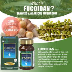 FINE JAPAN Fucoidan packaging box shows Japan-made quality and heritage.
