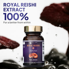 FINE JAPAN Reishi packaging displays GMP and organic certification for trust