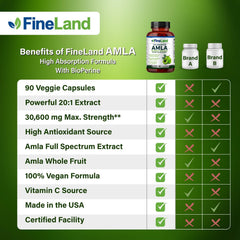 FineLand Amla delivers natural vitamin C as part of daily routine