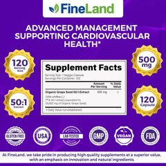 Antioxidant graphic representing cardiovascular support with FineLand