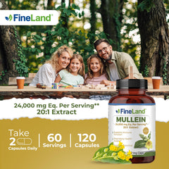 FineLand Mullein Leaf 20x Extract capsules show 24,000 mg strength