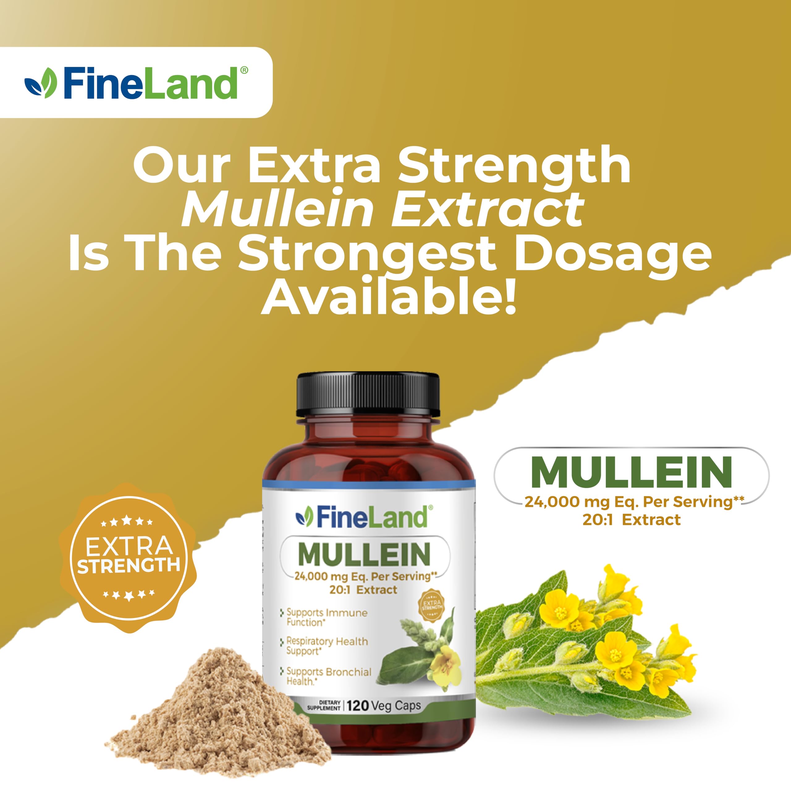 FineLand Mullein Leaf 20x Extract closeup capsules vegan formula