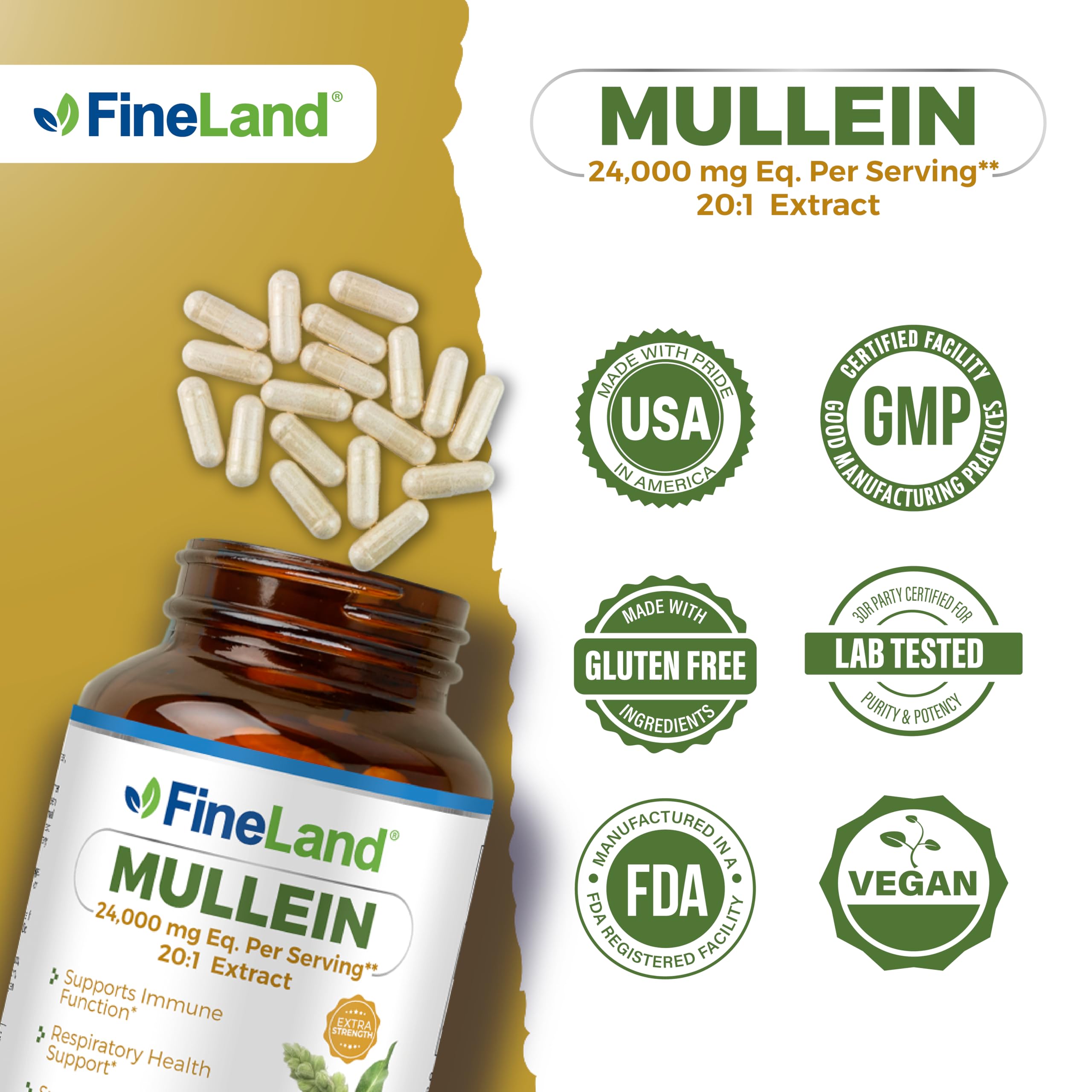 FineLand Mullein Leaf 20x Extract lifestyle use in daily routine