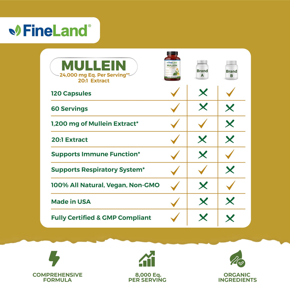 FineLand Mullein Leaf 20x Extract packaging side shows value and USA manufacturing