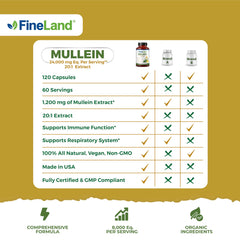FineLand Mullein Leaf 20x Extract packaging side shows value and USA manufacturing