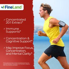 FineLand ginseng capsules close-up highlighting vegan capsules and potency.