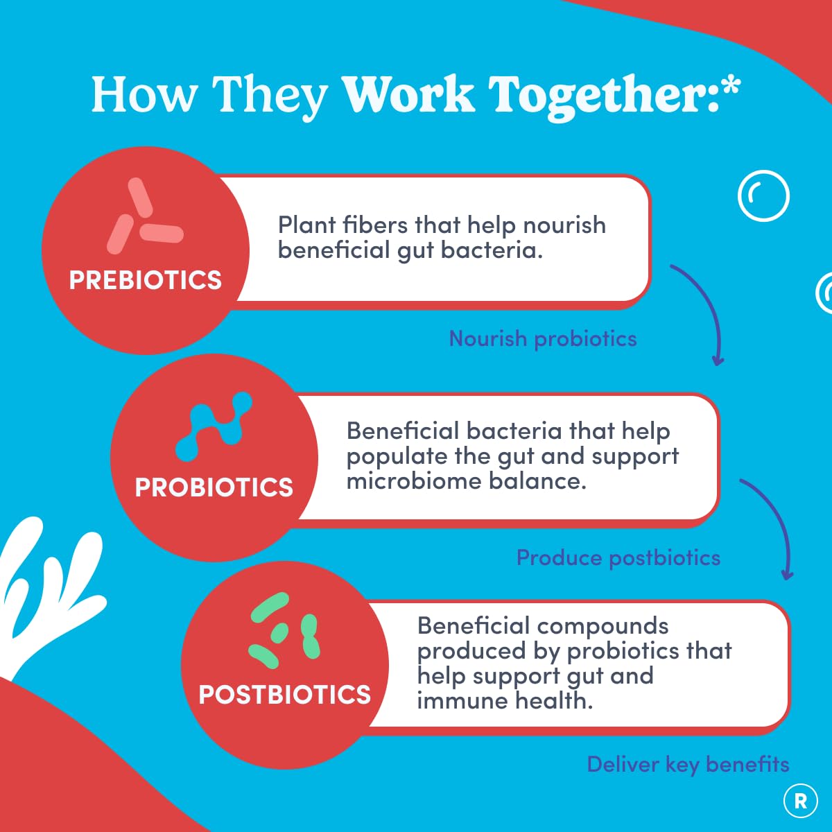 FIRST DAY probiotic Bacillus coagulans SNZ 1969 supports immune resilience.