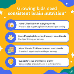 Cognizin Citicoline ingredient in FIRST DAY formula for daily focus support