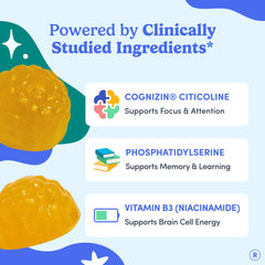 First Day phosphatidylserine label hints at memory and learning support.