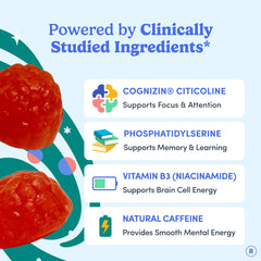 First Day Brain Gummies packaging front highlights vegan, non-GMO credentials.