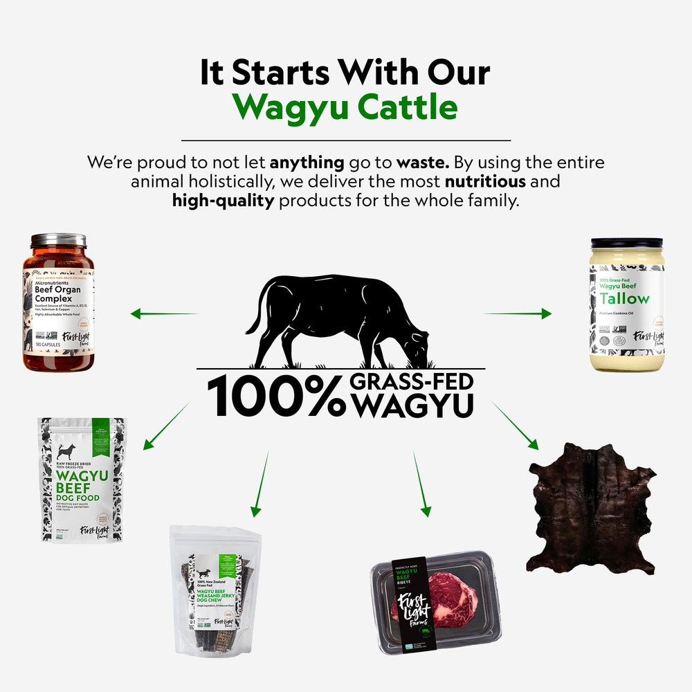First Light Beef Liver Capsules close-up shows nutrient-dense liver for sustained energy.