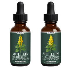 FITactic ETHALE Mullein Drops bottle, easy daily respiratory support.