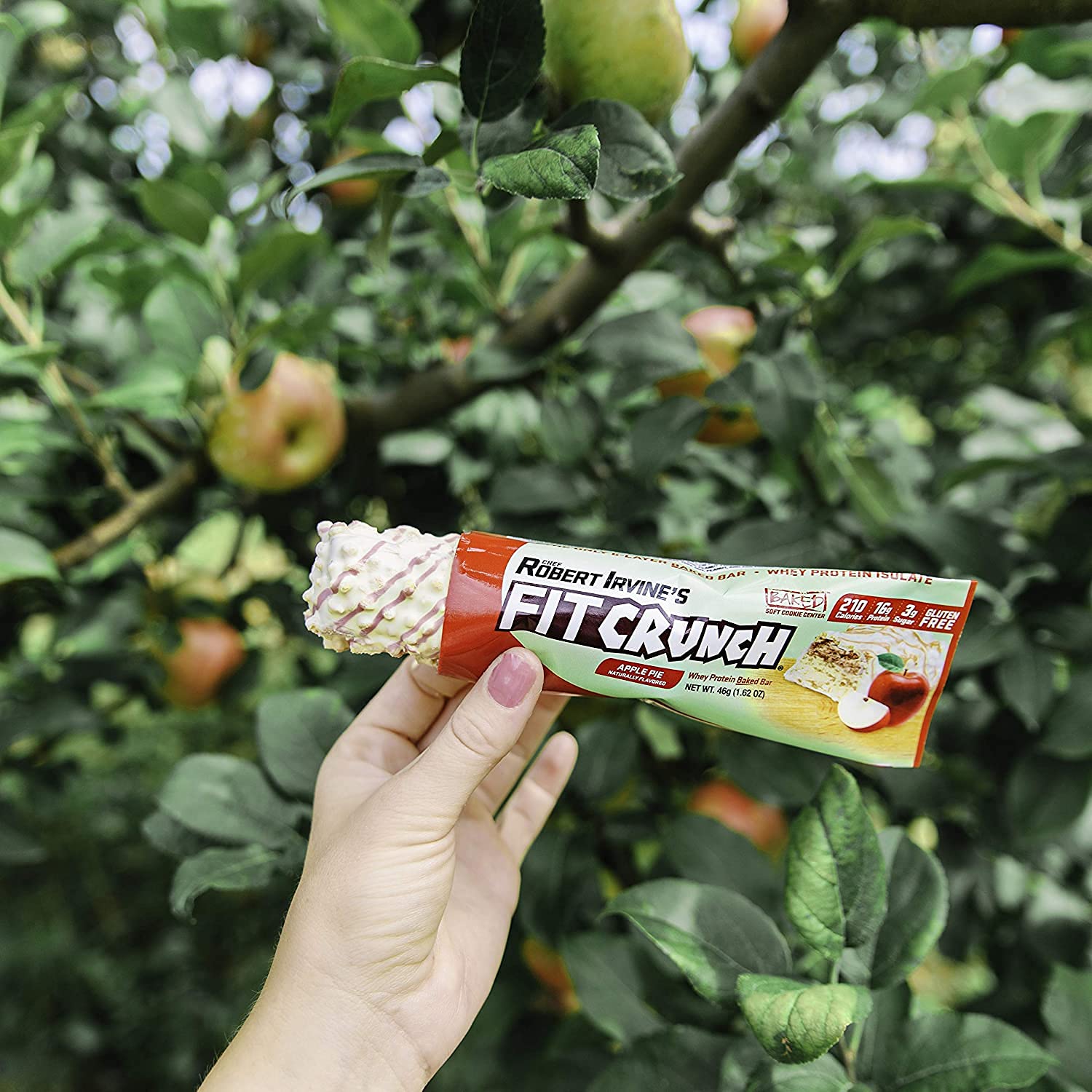 Fit Crunch Apple Pie Protein Bar on a plate highlights convenient, gluten-free snack option.