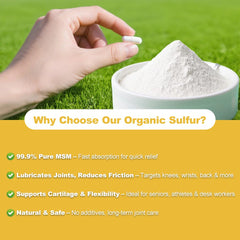 Close-up of Fitfido MSM capsules highlighting purity and easy absorption.