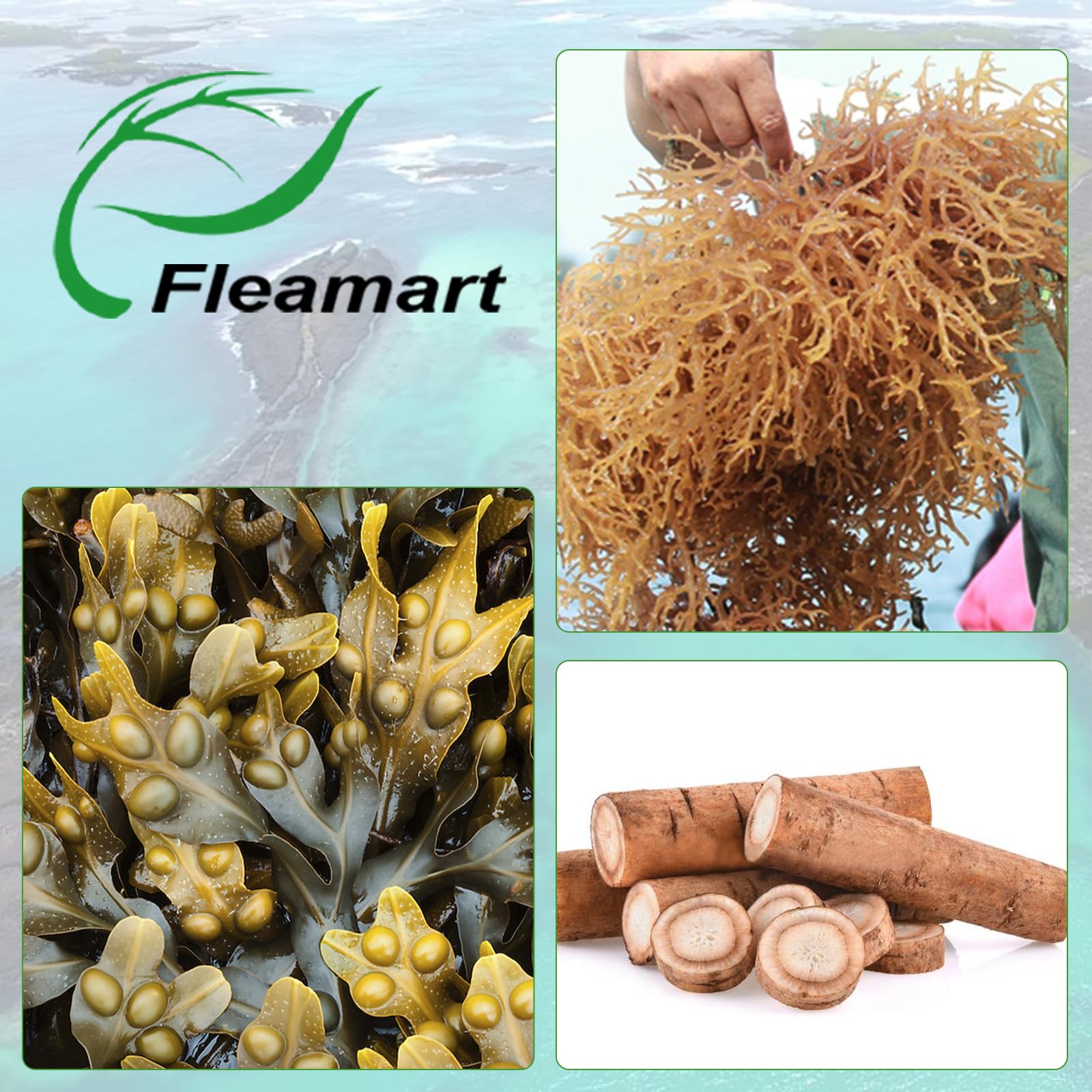 Fleamart sea moss ingredients label featuring 120-count formula