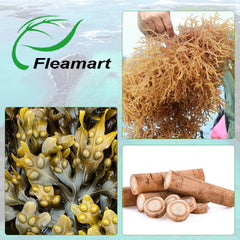 Fleamart sea moss ingredients label featuring 120-count formula