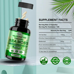 Fleamart wildcrafted bladderwrack extract highlighting mineral content