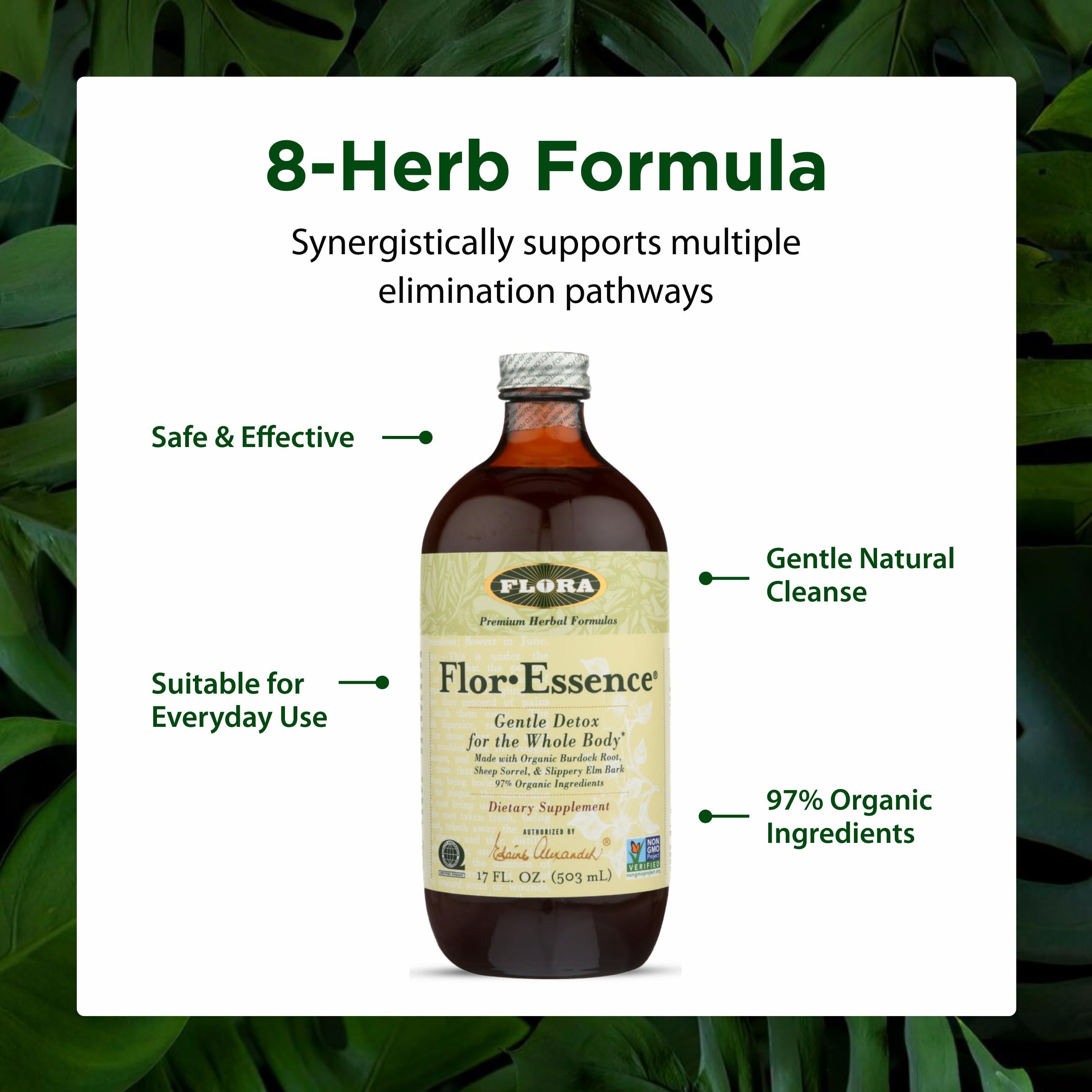 Steaming cup of Flor-Essence provides a comforting moment.