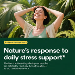 Floraviva Rhodiola capsules on desk during study or workout