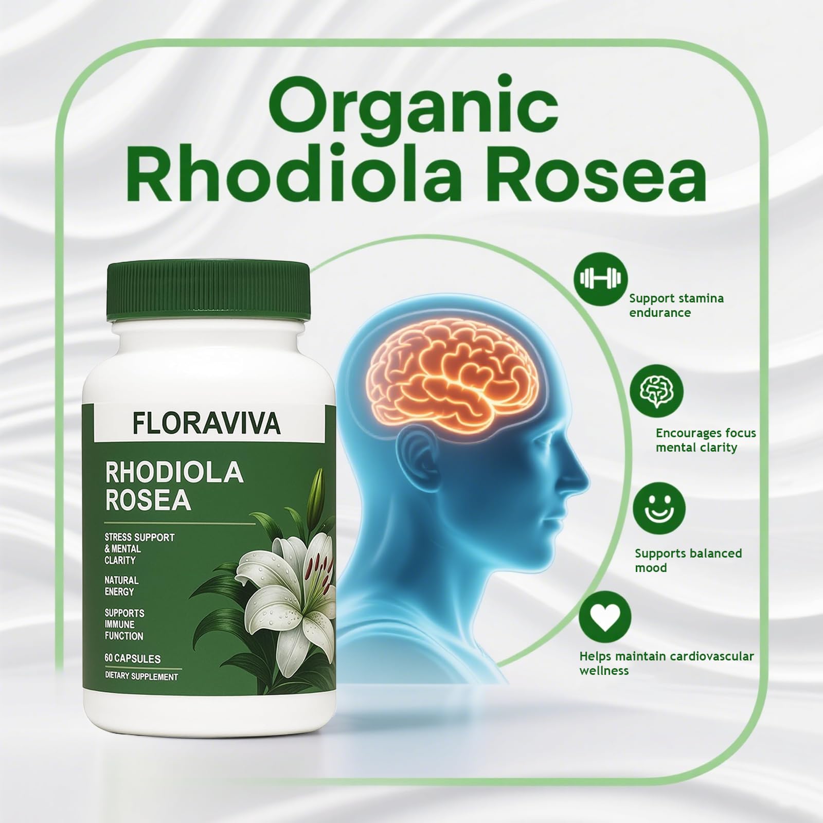 Floraviva Rhodiola capsules held in hand for daily use