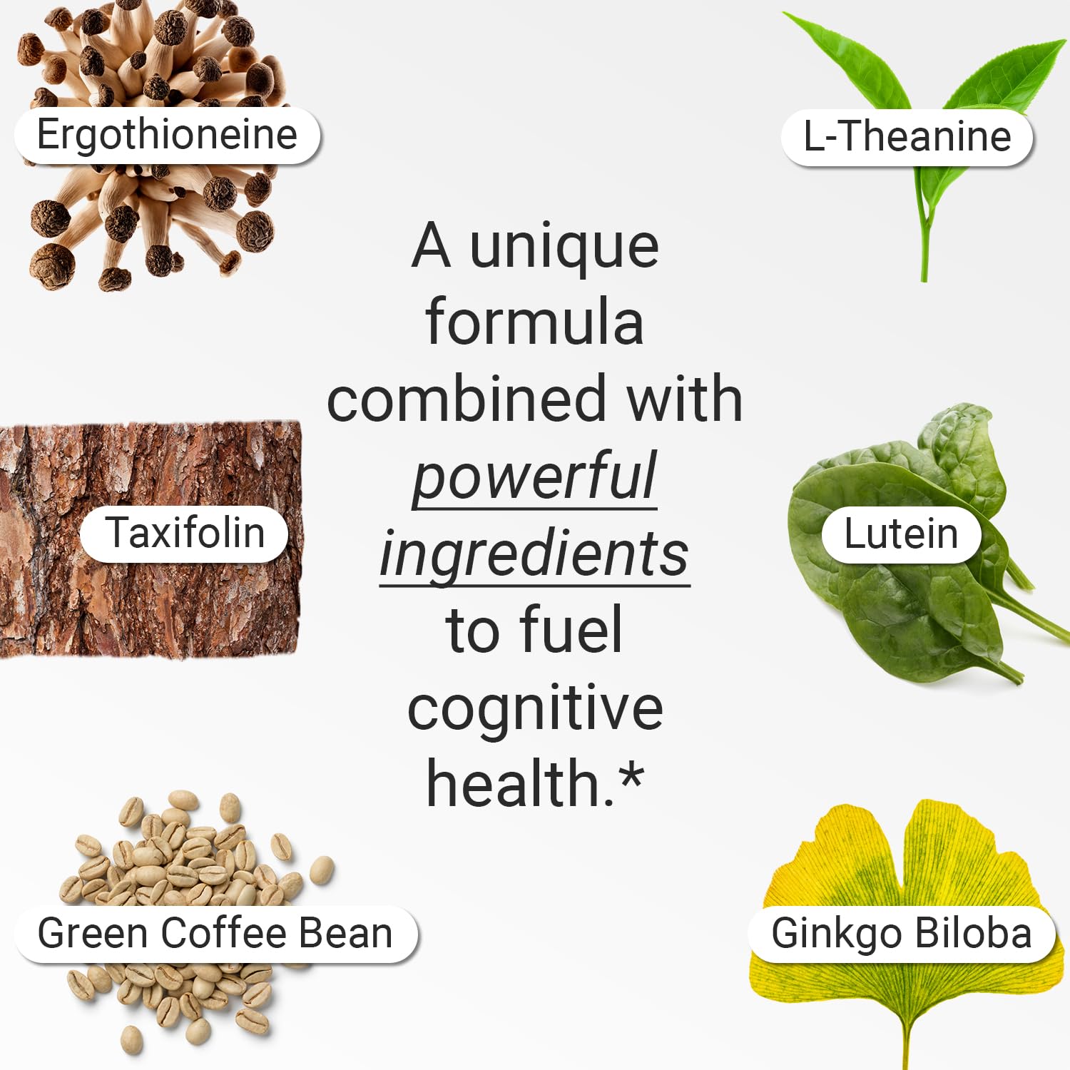 FLT Cognition label detail features vegan formulation for cognitive support