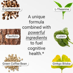 FLT Cognition label detail features vegan formulation for cognitive support