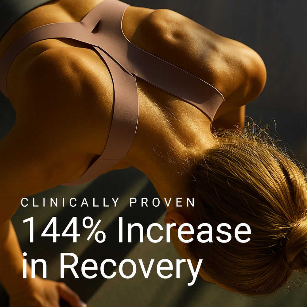 FLT Muscle creatine and L-glutamine jar emphasizes energy and repair support.