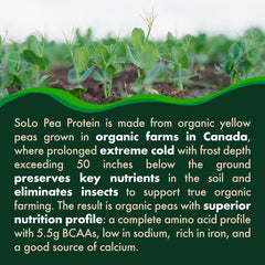 FOLONA SOLO Organic Pea Protein Isolate scoop for measured servings.