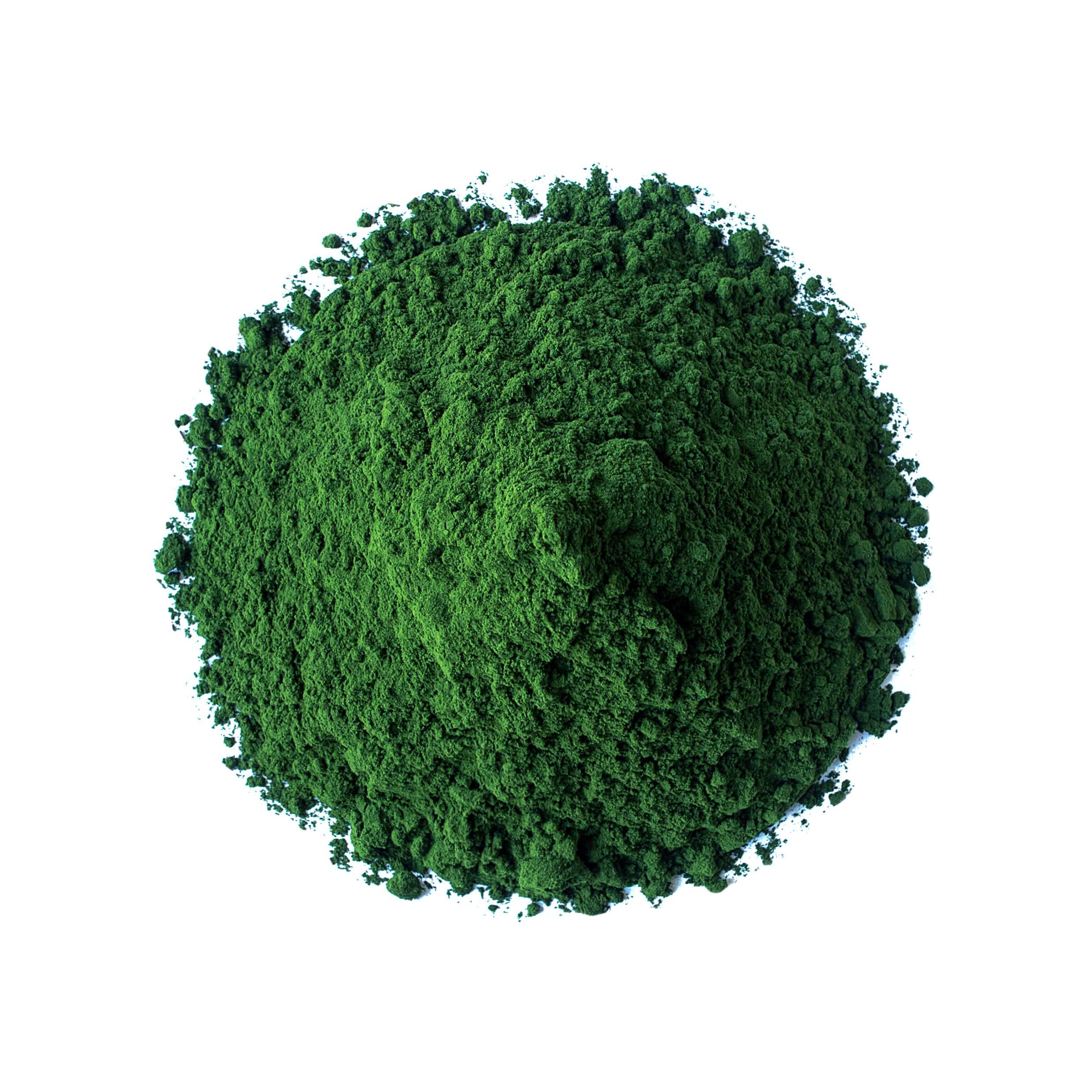 Food to Live algae powder bowl on porridge adds nutrients.