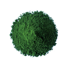 Food to Live algae powder bowl on porridge adds nutrients.