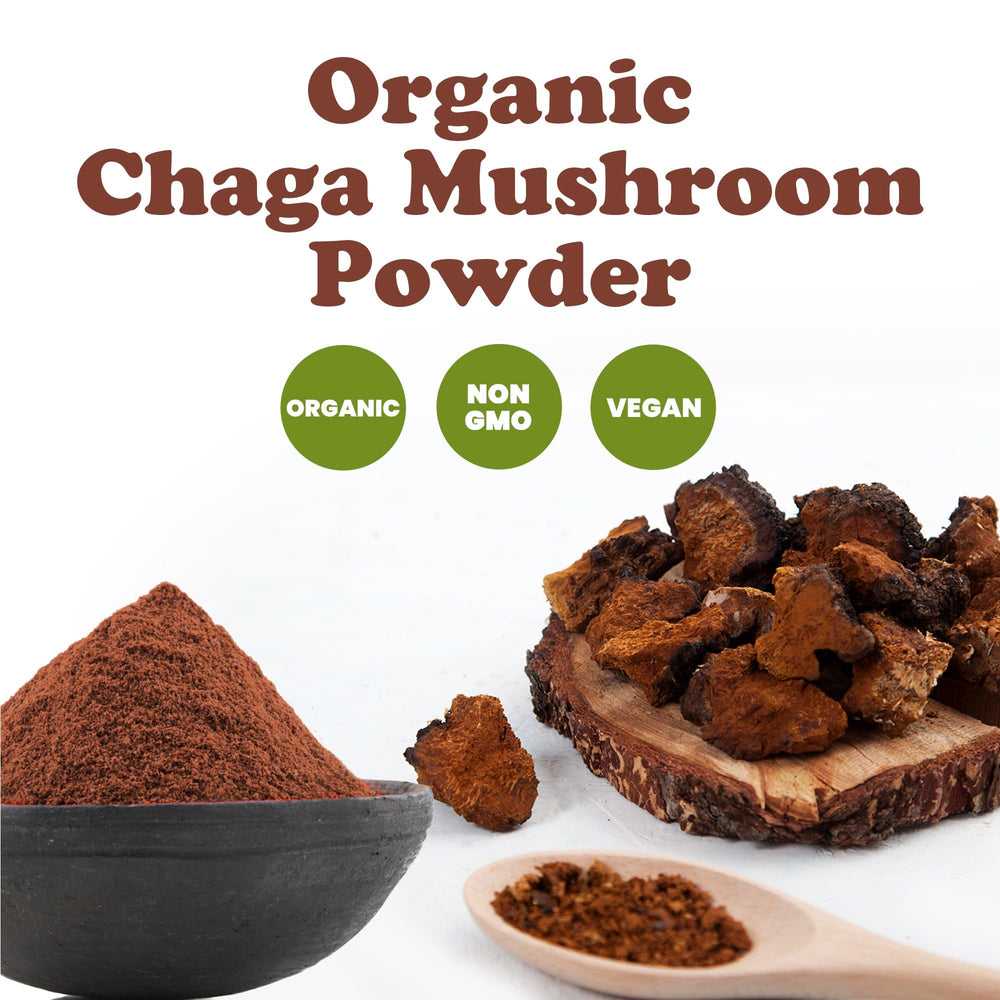 Food to Live Chaga powder scoop in bowl emphasizes convenient dosage for recipes.