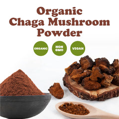 Food to Live Chaga powder scoop in bowl emphasizes convenient dosage for recipes.