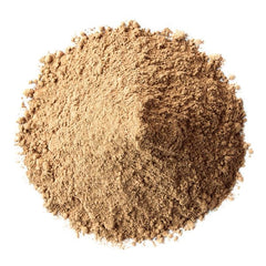 Food to Live Energize powder texture close-up for quick shakes