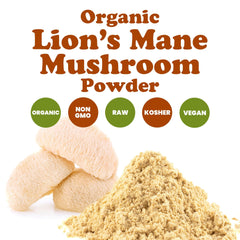 Food to Live Lion's Mane powder packaging highlights organic, non-GMO quality