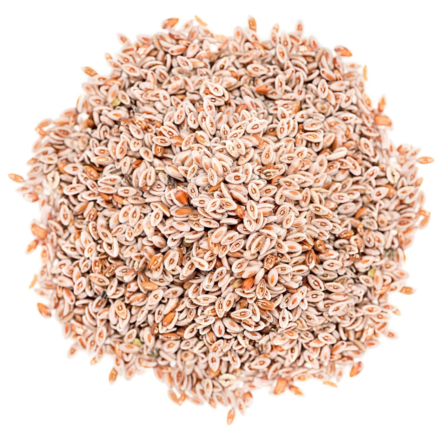 Food to Live psyllium seeds close-up emphasizes texture and mucilage potential