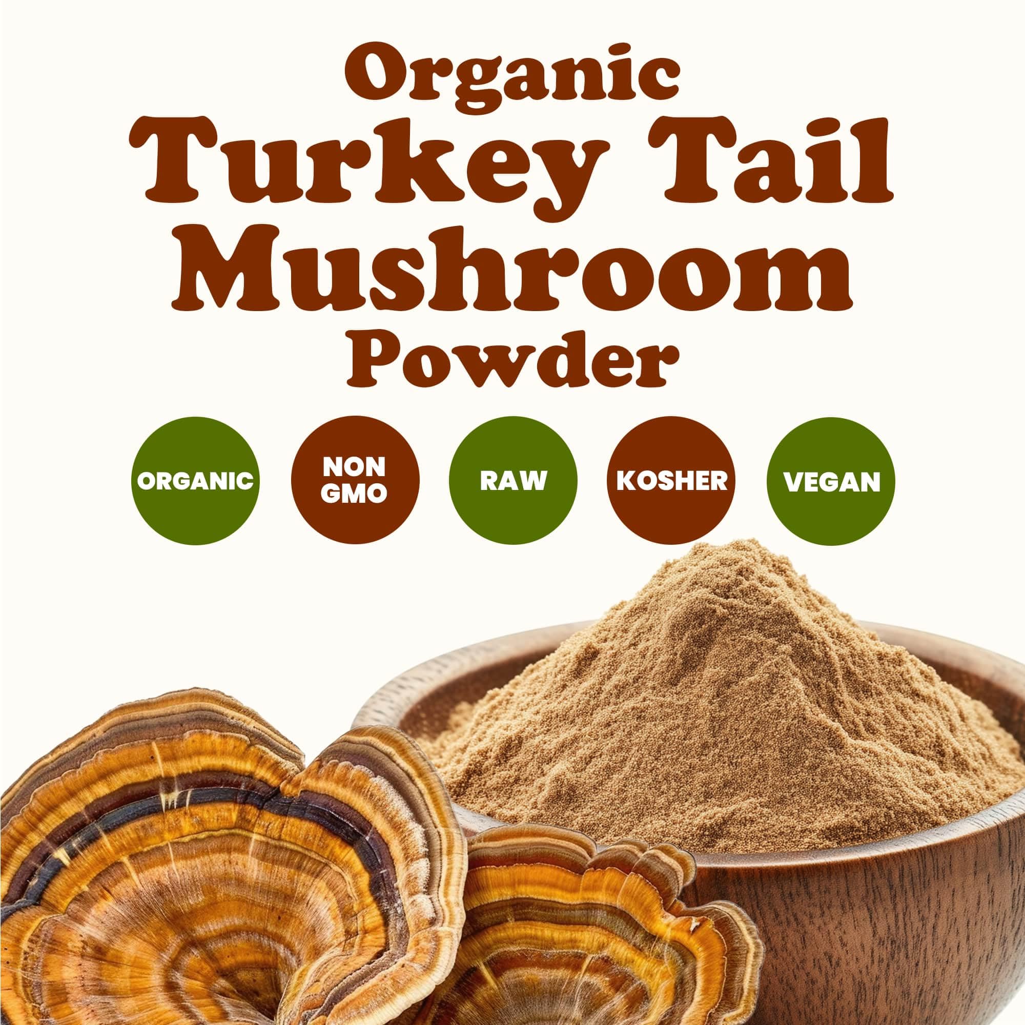 Food to Live turkey tail powder in coffee or tea for a natural energy lift.