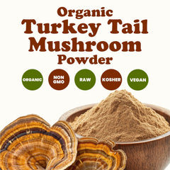 Food to Live turkey tail powder in coffee or tea for a natural energy lift.