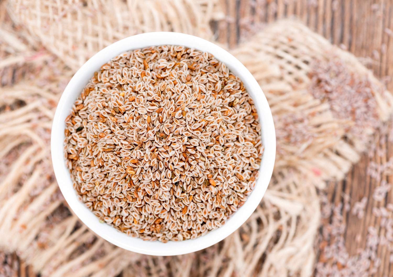 Food to Live whole psyllium seeds measuring scoop for portion control