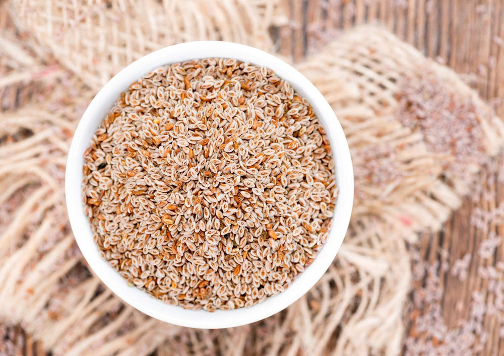 Food to Live whole psyllium seeds measuring scoop for portion control